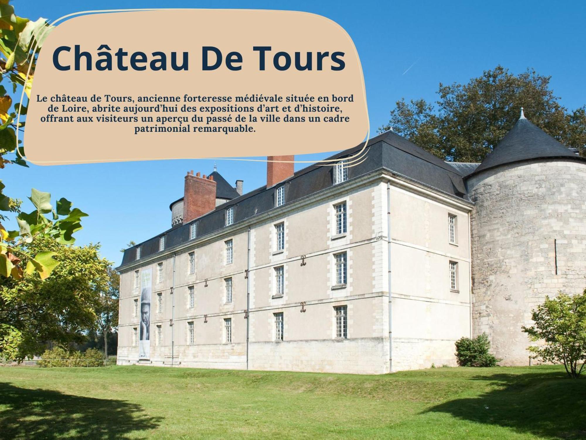 Begonia - Place Plumereau * Tours