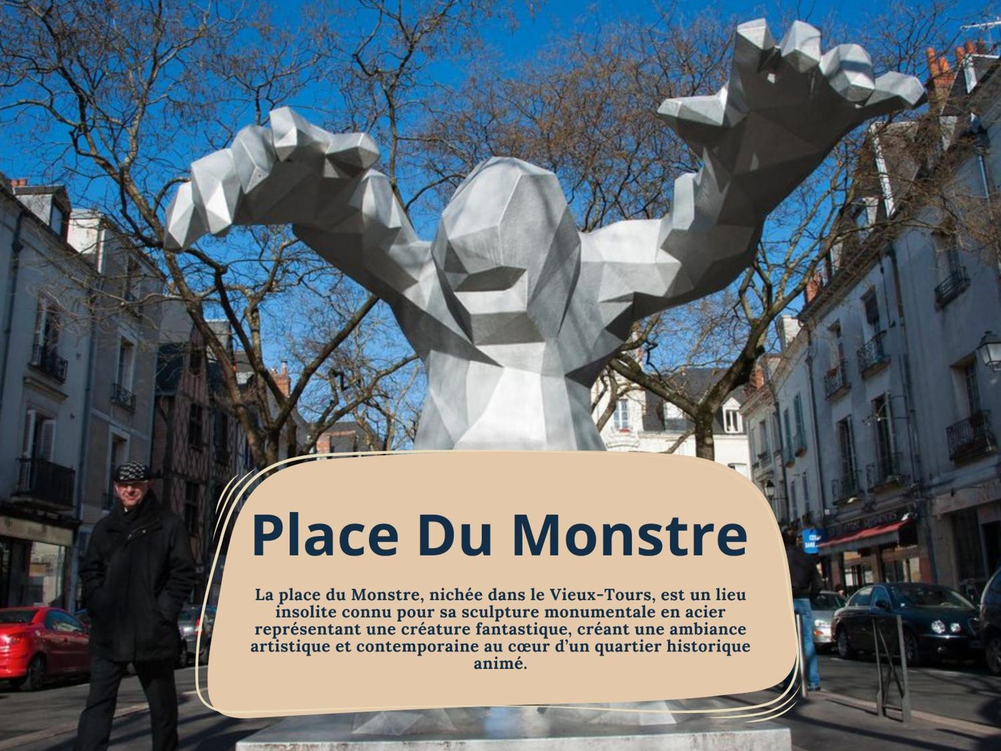 Begonia - Place Plumereau Tours